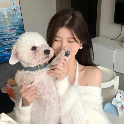 来了！张宝利国语